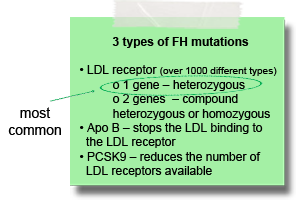 3-types-of-FH-mutations