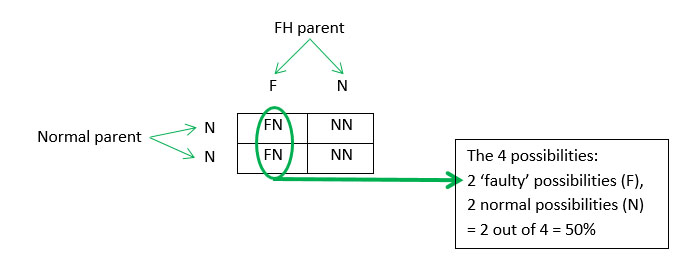 punnet square