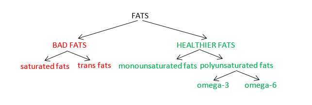 types of fat