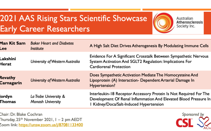 2021 AAS Rising Stars Scientific Showcase (ECRs Finalists)